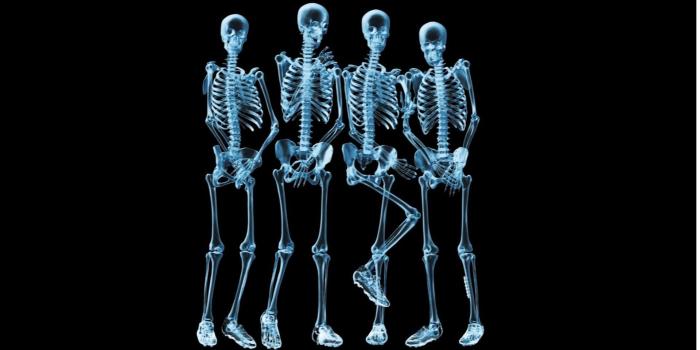 1920x1080 69+ X Ray Wallpapers on WallpaperPlay