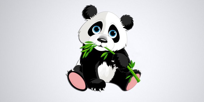 1920x1080 Panda Picture 26556 - HDWPro