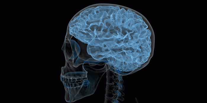 1920x1080 Head X-Ray Wallpapers High Quality | Download Free