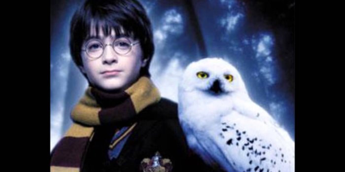 1920x1080 Best 53+ Hedwig Wallpaper on HipWallpaper | Hedwig Harry Potter