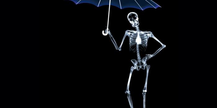 1600x1200 X Ray art | Free Wallpaper - Free Art wallpaper - X Ray wallpaper