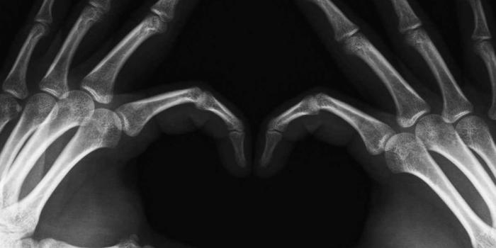 1206x1069 X-ray heart Wallpaper by vidzsien - cf - Free on ZEDGE™