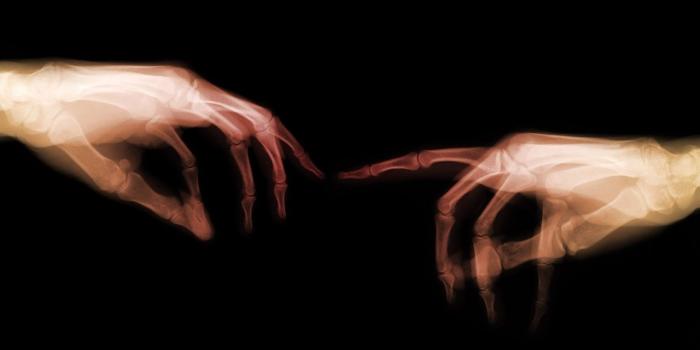 1280x804 X Ray Hands wallpapers | X Ray Hands stock photos