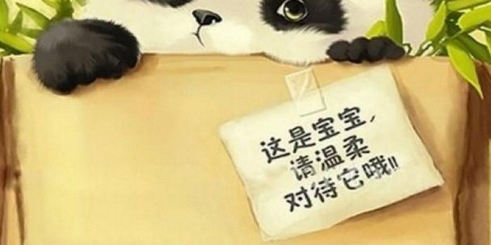 1080x1920 Android Wallpaper Cute Panda - 2019 Android Wallpapers