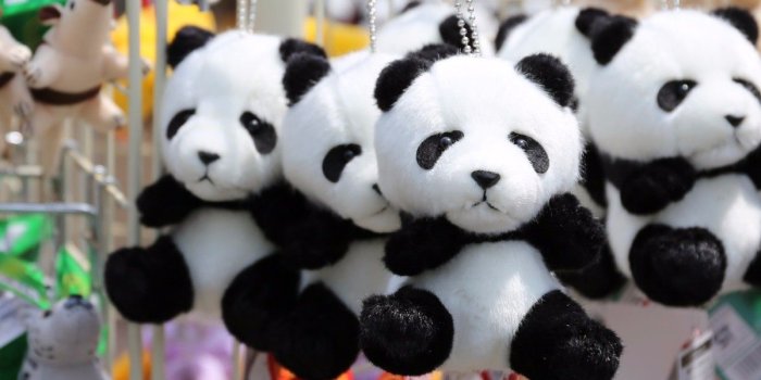 1200x664 28 High Quality Free Cute Panda Wallpapers (HD Images)