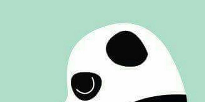 1080x1920 Cartoon Panda Wallpapers (28+ images) on Genchi.info
