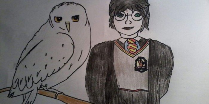1024x768 Harry Potter and Hedwig | Harry Potter Amino