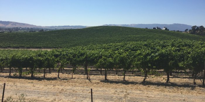 3264x2448 Bliss (image) - Wikipedia