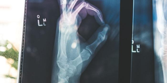 1000x1250 Radiology Pictures | Download Free Images on Unsplash