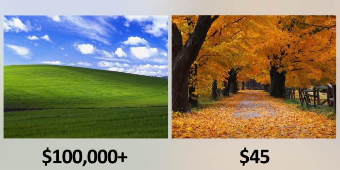 1600x840 Microsoft Paid 'Bliss' Photog $100K+ and 'Autumn' Photog $45