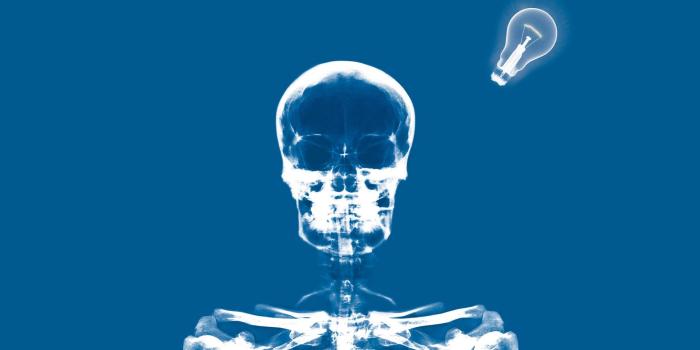 1920x1200 Free Wallpaper - Free Art wallpaper - X-ray 2 wallpaper - 1920x1200 - 13