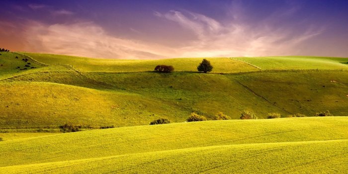 1920x1080 Bliss Desktop Wallpaper