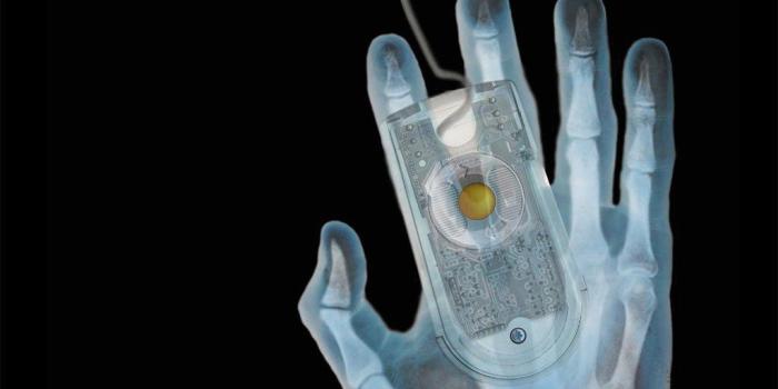 1024x768 Desktop Wallpapers » 3D Backgrounds » Mouse in Hand Xray » www