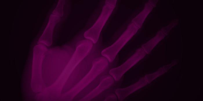 1700x1303 29270 radiology wallpaper