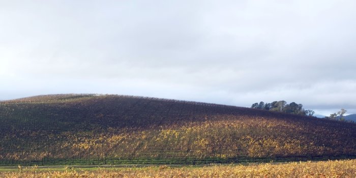 3200x2400 Relive Windows XP Nostalgia with Bliss HD Wallpapers