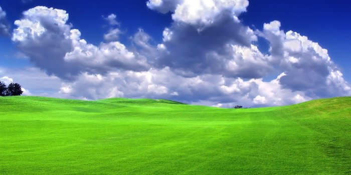 1600x1200 Bliss Wallpaper Desktop #h981550 | Nature HD Wallpaper