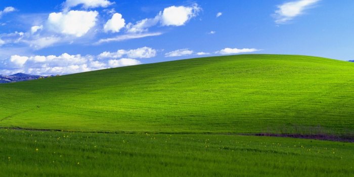 1920x1080 2936773 1920x1080 grass bliss wallpaper and background JPG 331 kB