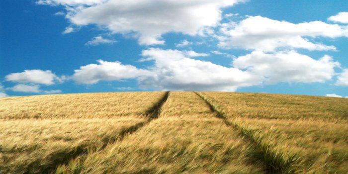 1600x1200 Vista Themes – Free Windows Vista ThemesVista Bliss Wallpaper – Free