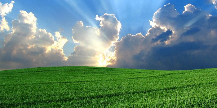 1600x1200 Windows Vista Bliss Wallpapers - WPer Wallpaper 1600x1200 (405.35 KB)