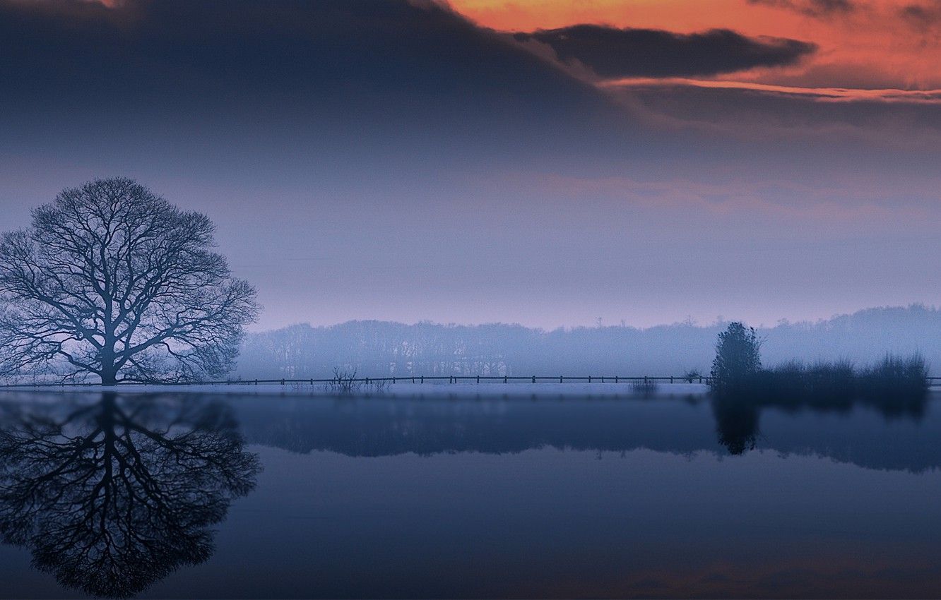 1332x850 Wallpaper water, clouds, reflection, tree, crown, outro images for