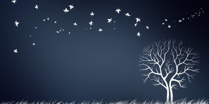 1920x1080 Creative Wallpapers : Find best latest Creative Wallpapers in HD for