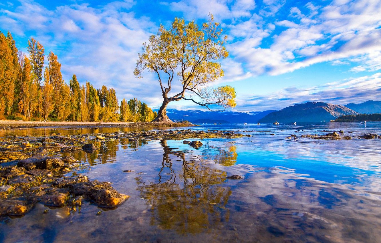 1332x850 Wallpaper forest, water, mountains, reflection, stones, Tree, outro