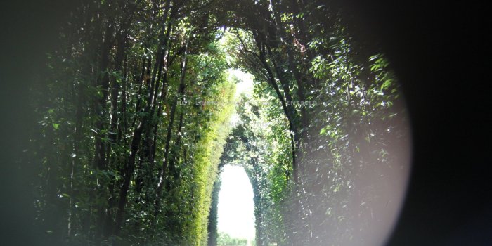 3168x2072 the secret garden dreams nature keyhole