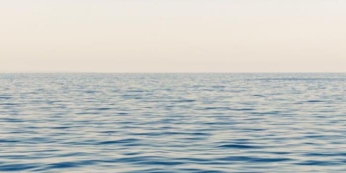 736x1308 28 iPhone Wallpapers For Ocean Lovers | Wallpapers | Ocean wallpaper