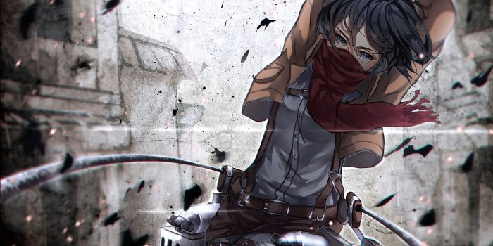 2000x1250 Mikasa Ackerman - Attack on Titan - HD Wallpaper #2108150 - Zerochan