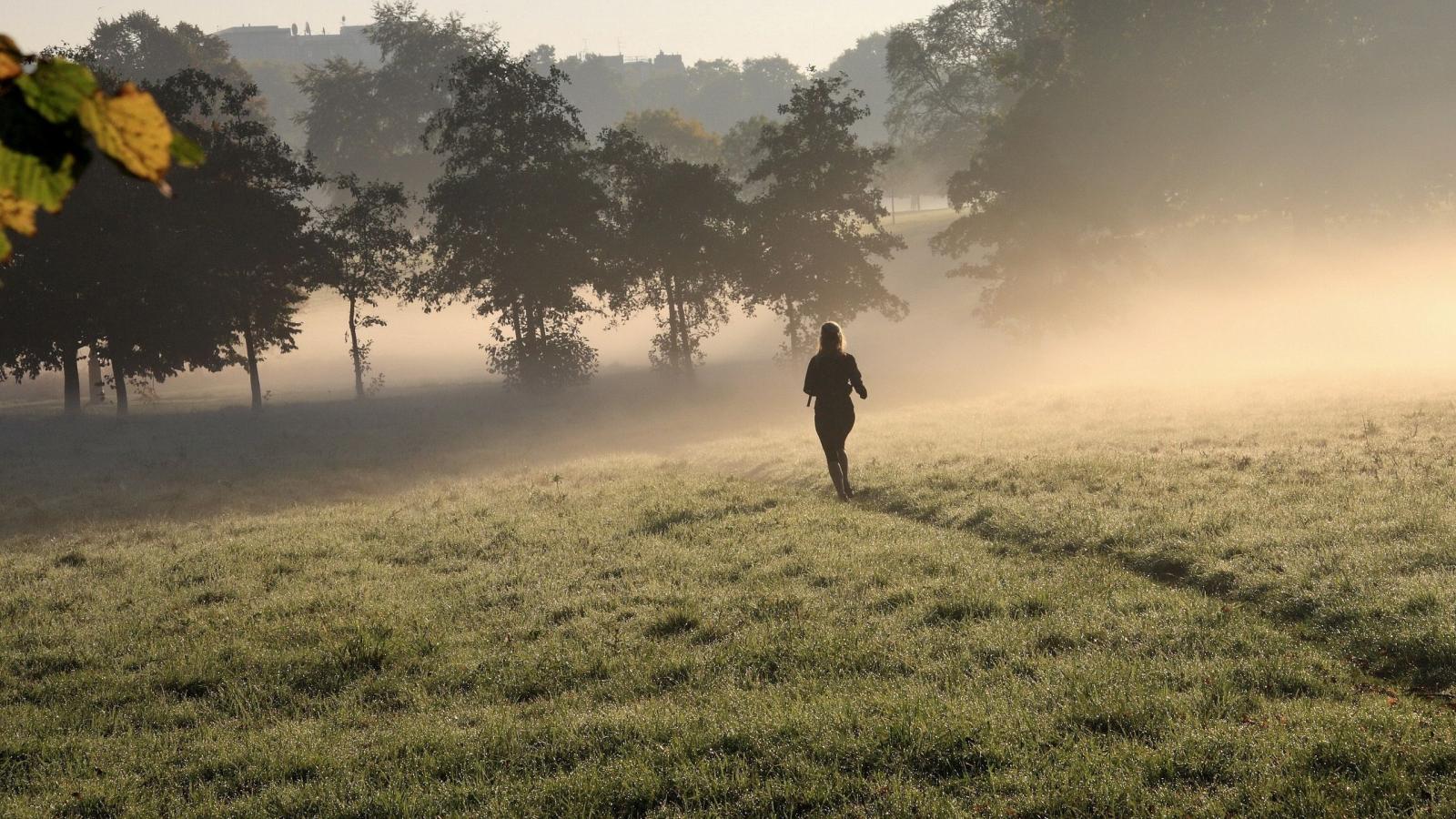 2560x1440 Running Wallpapers HD