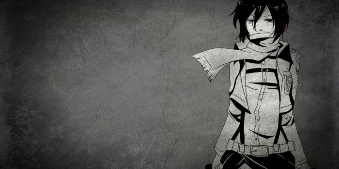 1366x768 Shingeki no Kyojin (Attack on titan) images Mikasa Ackerman HD