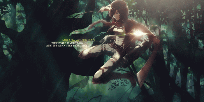 1920x1080 Mikasa Ackerman - Shingeki no Kyojin (Attack on titan) Wallpaper