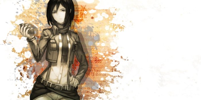 1680x1050 Attack on Titan Mikasa, Shingeki no Kyojin, Mikasa Ackerman HD