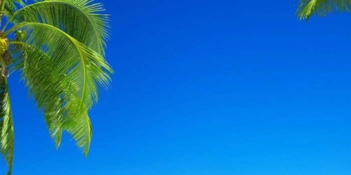 1080x1920 Wallpaper tropical beach, 5k, 4k wallpaper, 8k, paradise, palms, sea