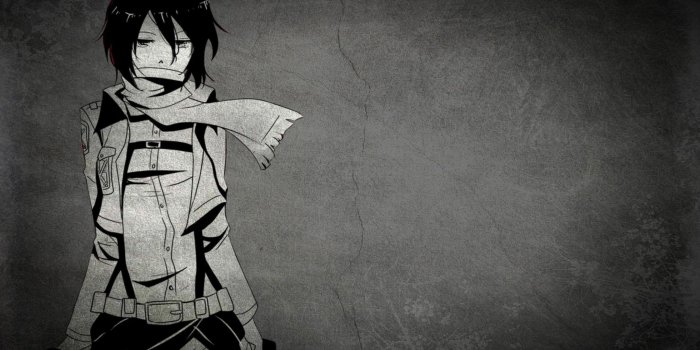 2560x1600 Mikasa ackerman shingeki no kyojin anime hd wallpaper 2560x1600 1261
