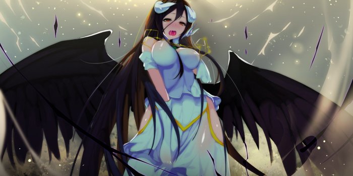 2089x1298 Overlord albedo wallpaper Gallery