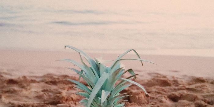 1000x1500 Hawaii Diary with Billabong – Sincerely Jules | <3 it in 2019