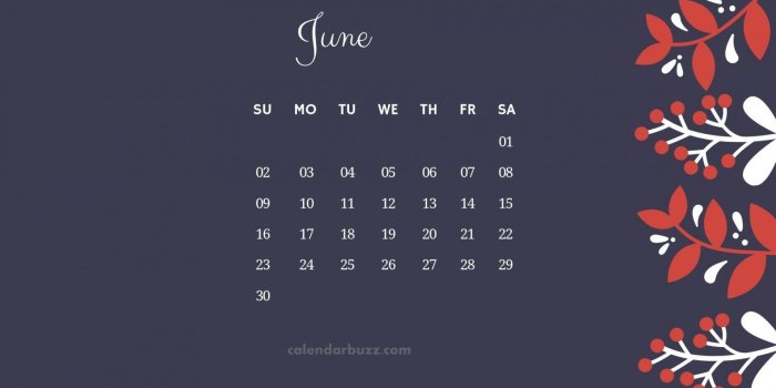 1800x1013 June 2019 Calendar HD Wallpapers and Background Images | YL Computing