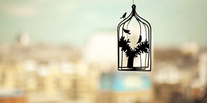 1920x1200 Photography Wallpaper #6805459