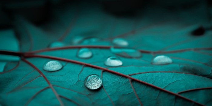 1920x1200 66+ Raining Wallpapers on WallpaperPlay