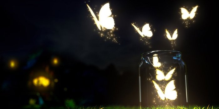 1024x768 Photography Wallpaper #43