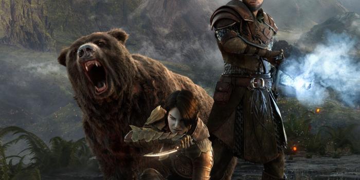 1242x2209 Download the New ESO Morrowind Hero Art Wallpaper The Elder | Dark