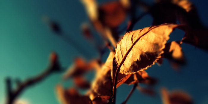 1920x1080 Photography Wallpaper Download Computers #6935817