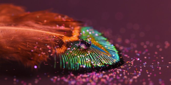 1600x900 Abstract Photography HD Wallpaper, Background Images