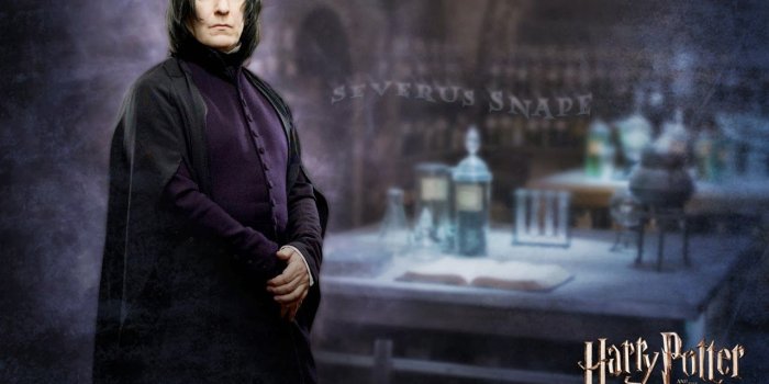 1280x1024 Snape Wallpaper