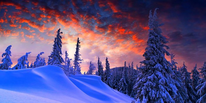 1280x819 Wallpaper Nature Spruce Winter Sky Snow Landscape photography