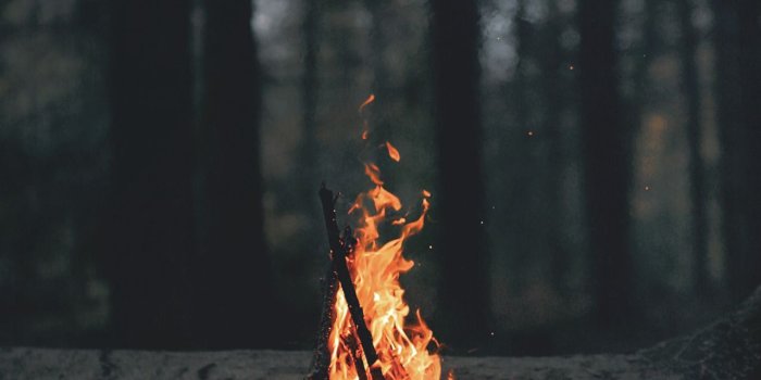 1280x1920 Desvre | Photography | Nature, Photography, Wallpaper