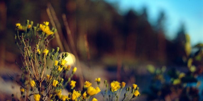 1920x1200 photography-images17: Vintage Photography HD desktop wallpaper