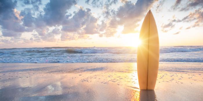 2048x1536 40+ Surfboard Desktop Wallpapers - Download at WallpaperBro