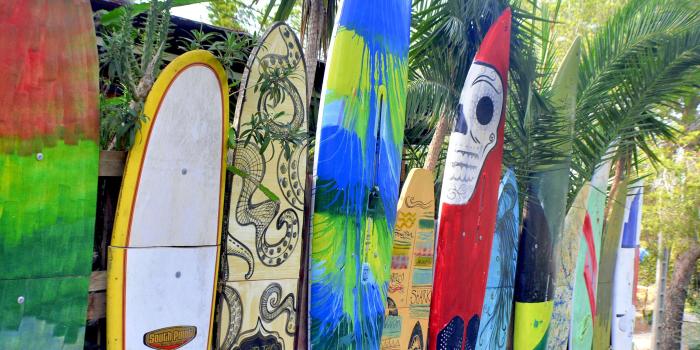 3008x2000 3009878 fence, garden, painted, surfboard wallpaper and background